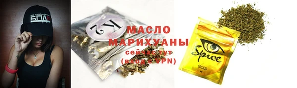 прущие грибы Горно-Алтайск