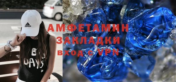 прущие грибы Горно-Алтайск