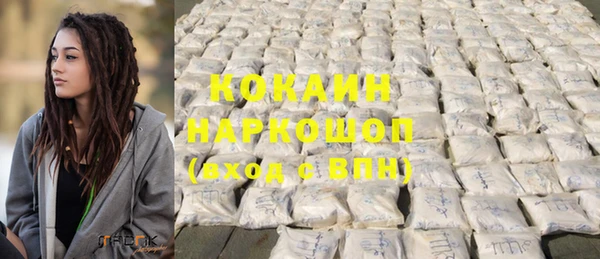 прущие грибы Горно-Алтайск
