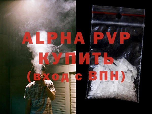прущие грибы Горно-Алтайск