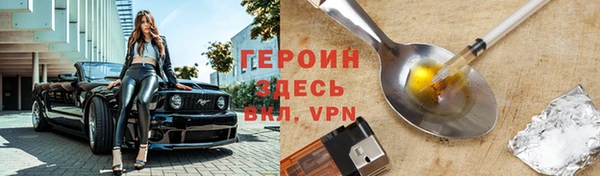 прущие грибы Горно-Алтайск