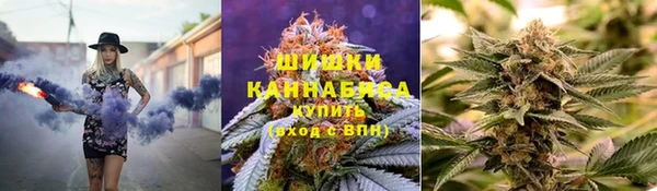 СК Горняк