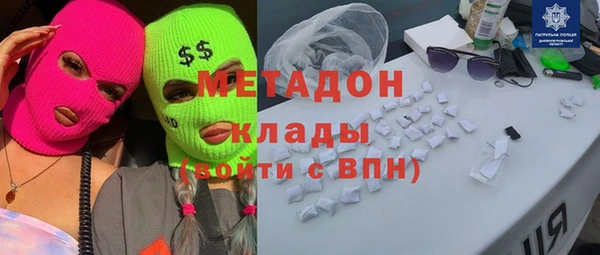 прущие грибы Горно-Алтайск